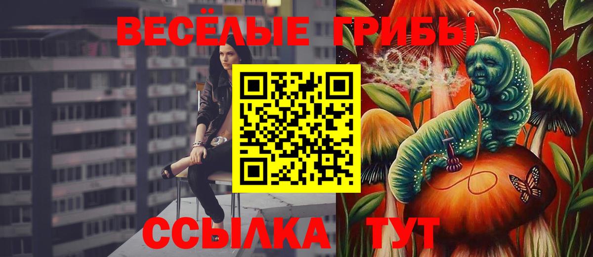Псилоцибиновые грибы мицелий  Вход с VPN  Губкинский 